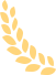 13a02c892670eb0 13a02c892670eb0